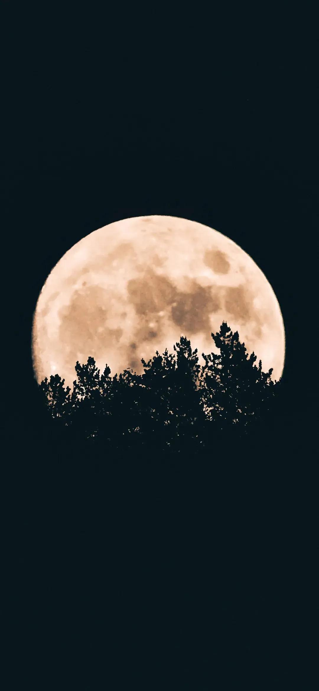 黑色系壁纸更省电你知道么,最新黑色省电全屏手机壁纸