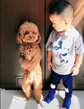 家里养一只狗有什么好处和坏处,家里养一个月的狗有什么说法