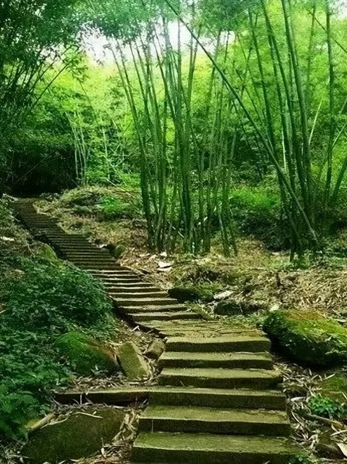 邛崃川西竹海攻略,邛崃竹海徒步攻略