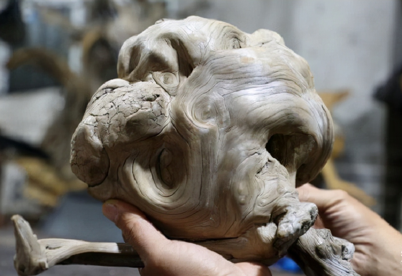 山西小伙卖房、花光百万，买了一屋烂树根，11年后价值无法估量