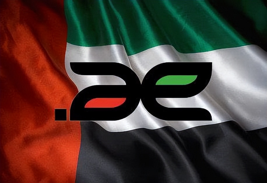 域风网：什么是阿联酋.ae域名,如何注册？