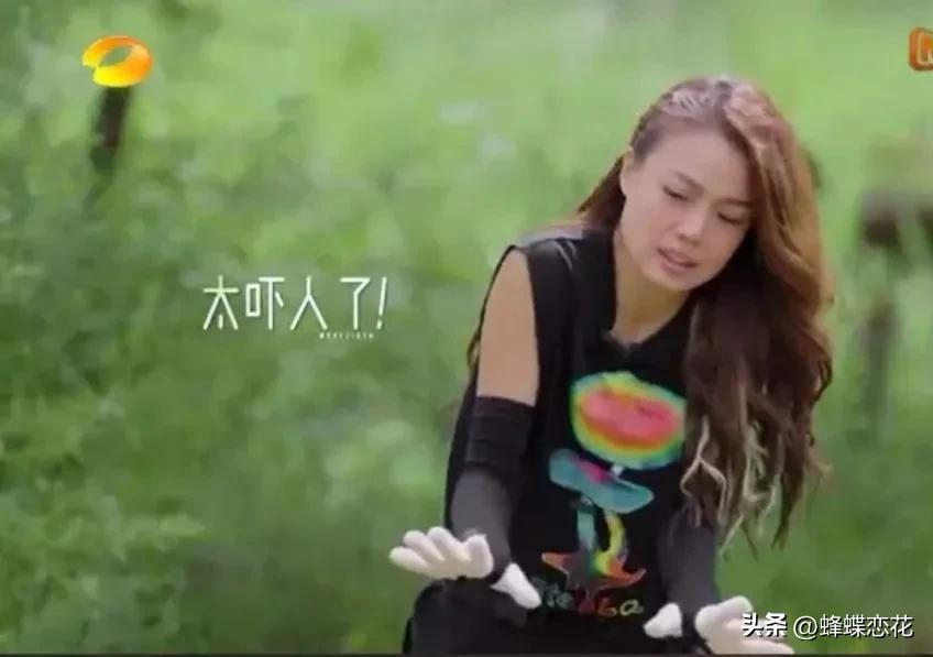 容祖儿到底有多美,容祖儿为什么越来越漂亮了