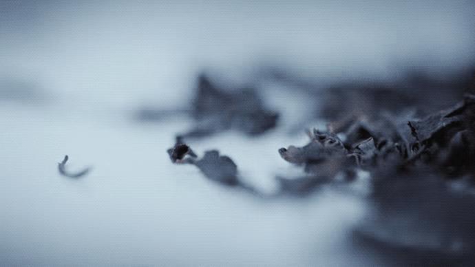 罗振宇创业行业,罗振宇2024乐观者