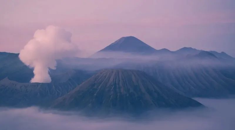 金星落入12星座的感情模式,金星入月