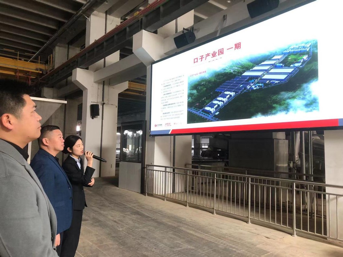 陶行知基金会,陶行知公益基金会