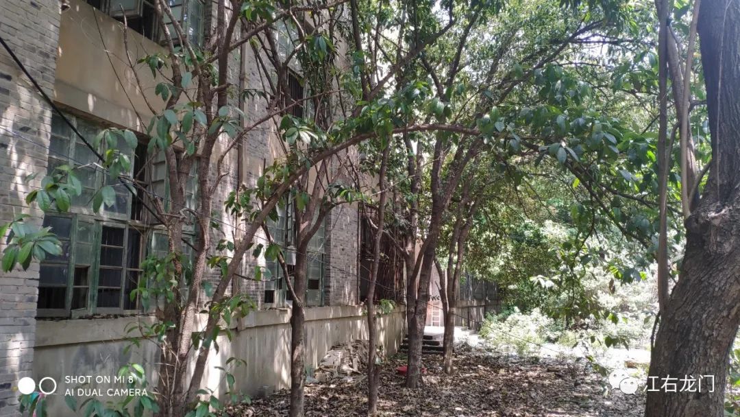 南昌市民德路的过往,南昌民德路经济大楼