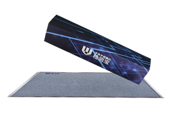 暑假神兽回归减肥训练营,神兽暑期实践