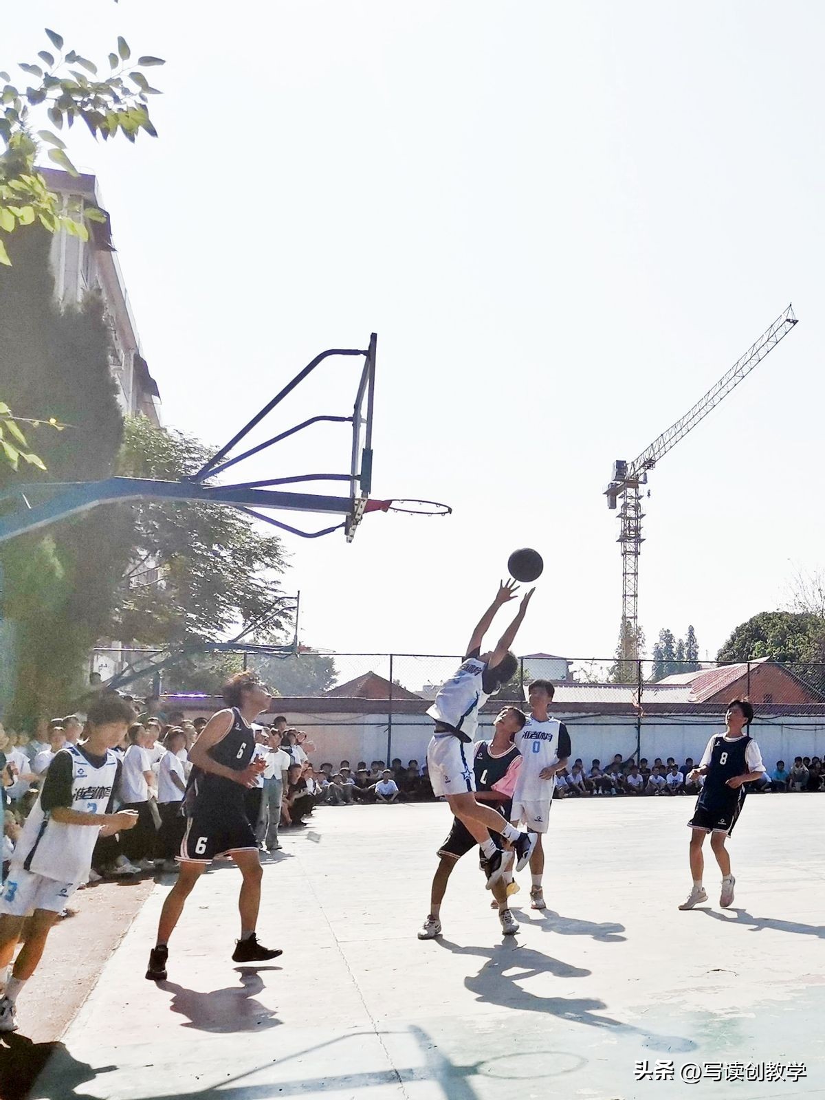 社团风采成果展活动总结,硕果盈枝香满园