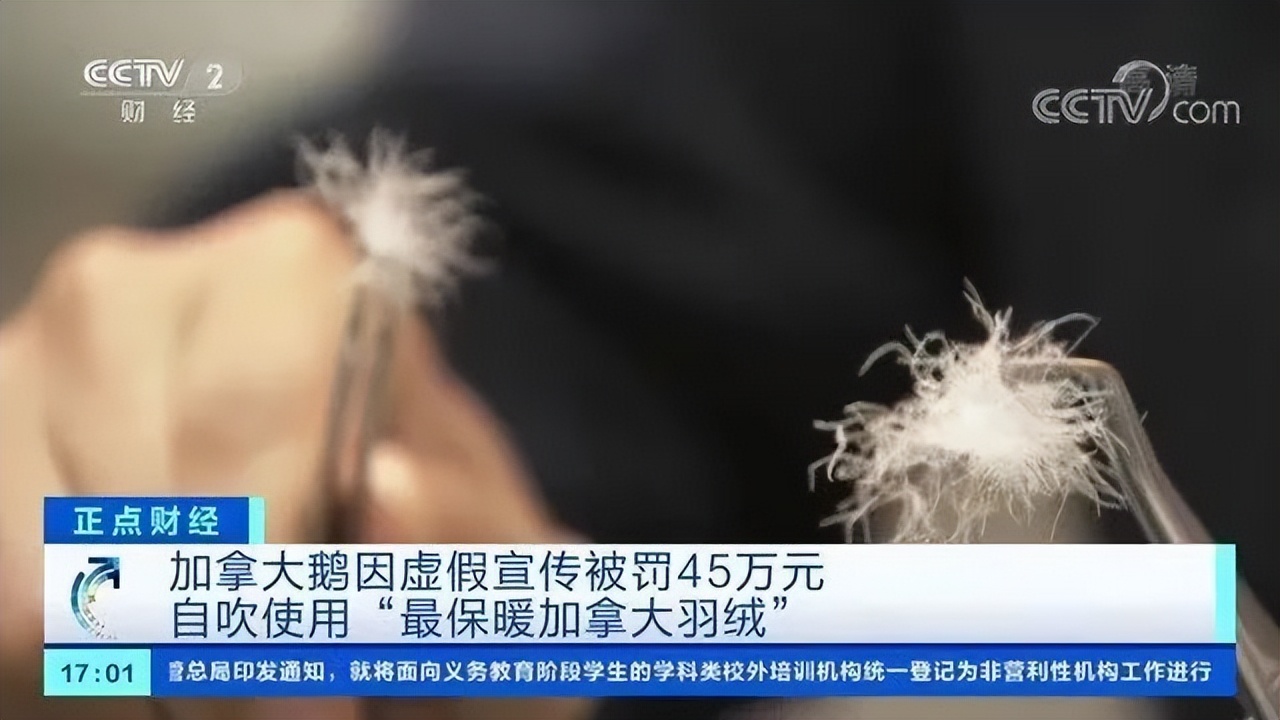 卖至上万还靠抢，如今却被抛弃：“羽绒服界爱马仕”该走下神坛了