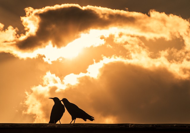 希望有人喝醉了酒给你讲浪漫和爱,希望有人喝了酒给你讲浪漫和爱