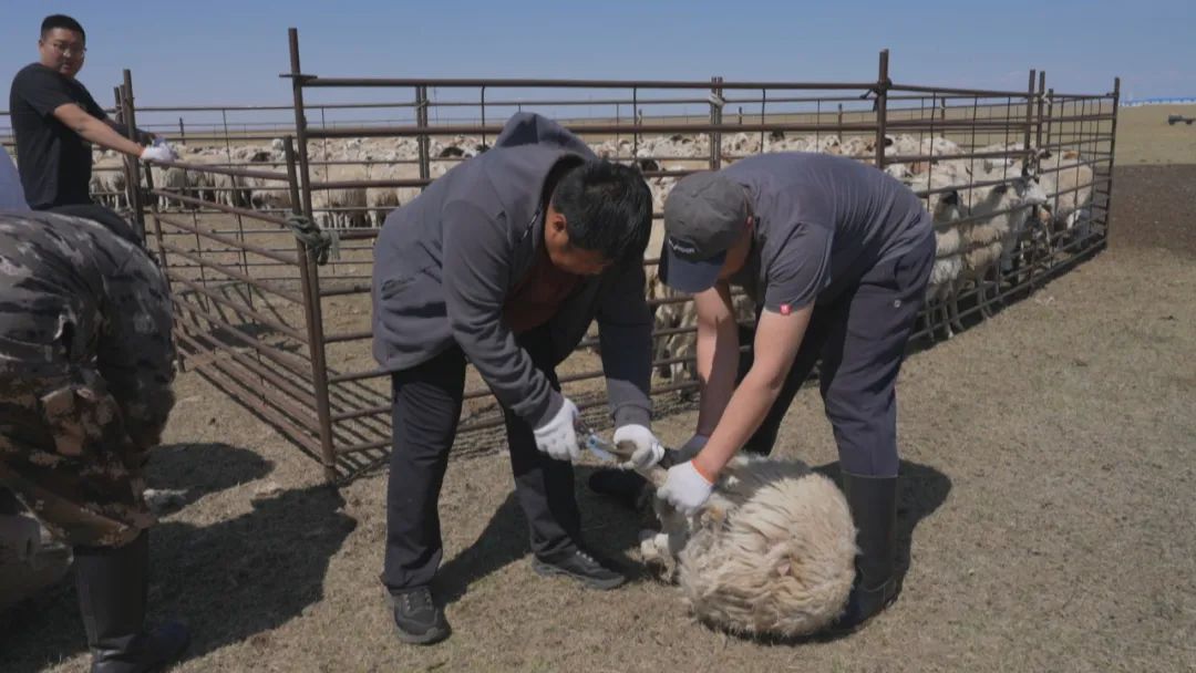 身边的榜样春华秋实,勤劳的榜样