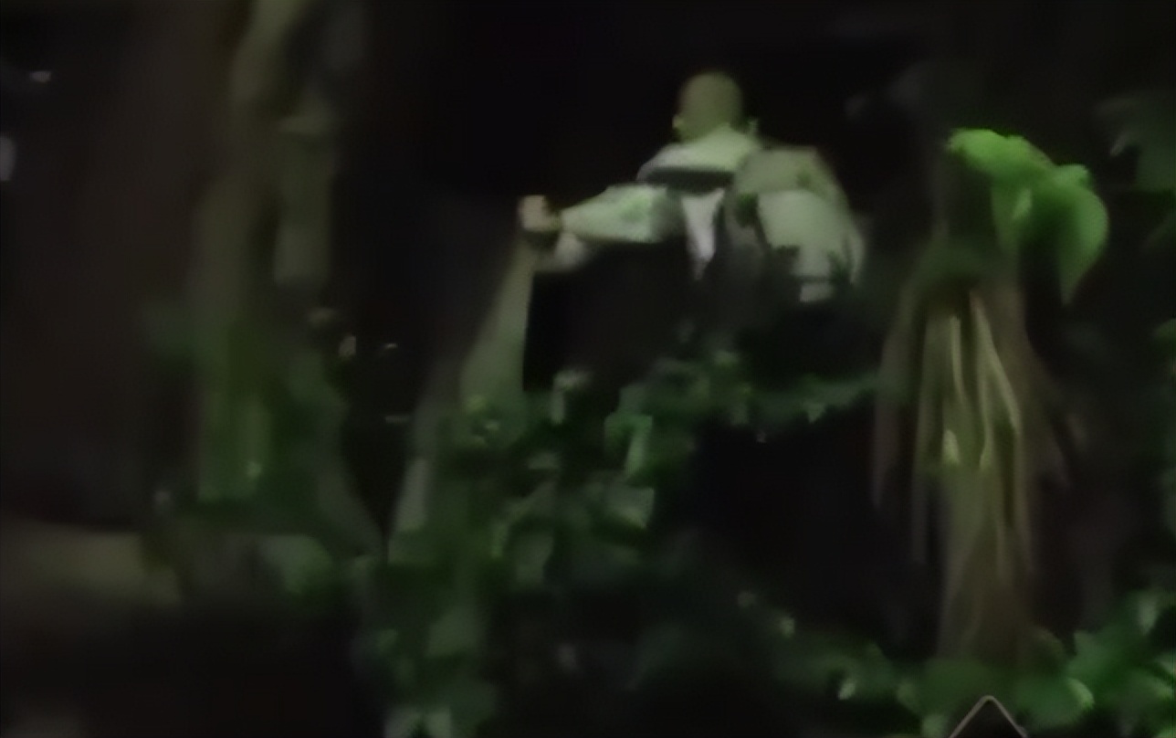 日本骨灰级啃老,日本啃老一族