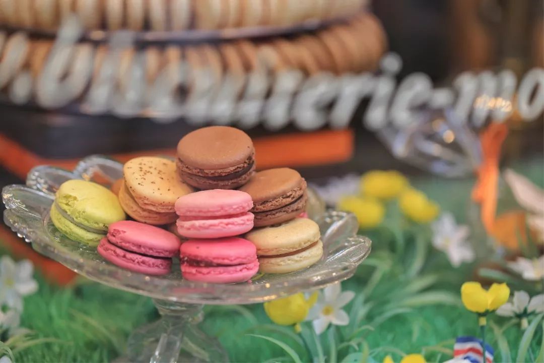 浪漫之都巴黎旅拍,浪漫之都巴黎城市