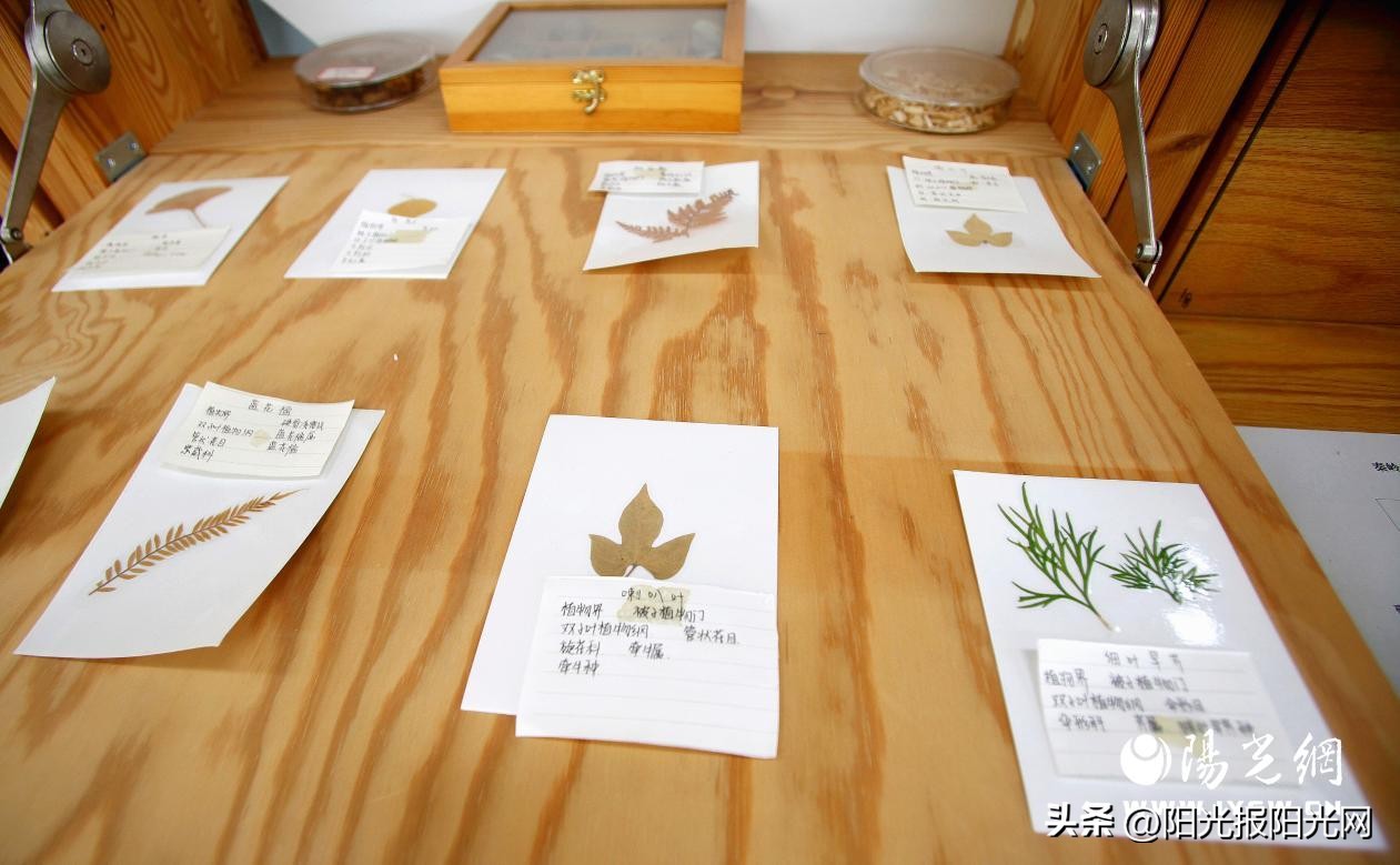 欣赏育人成就学子西安高新一中实验中学用心用情打造群众家门口的好学校