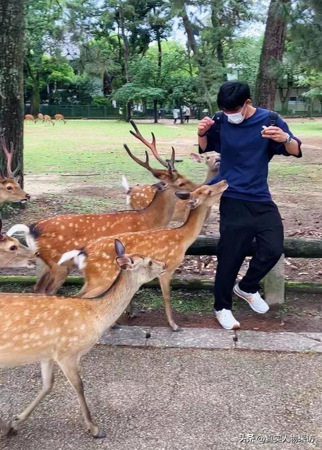 一个留学生在日本九年生活实录,留学生在日本的真实感受