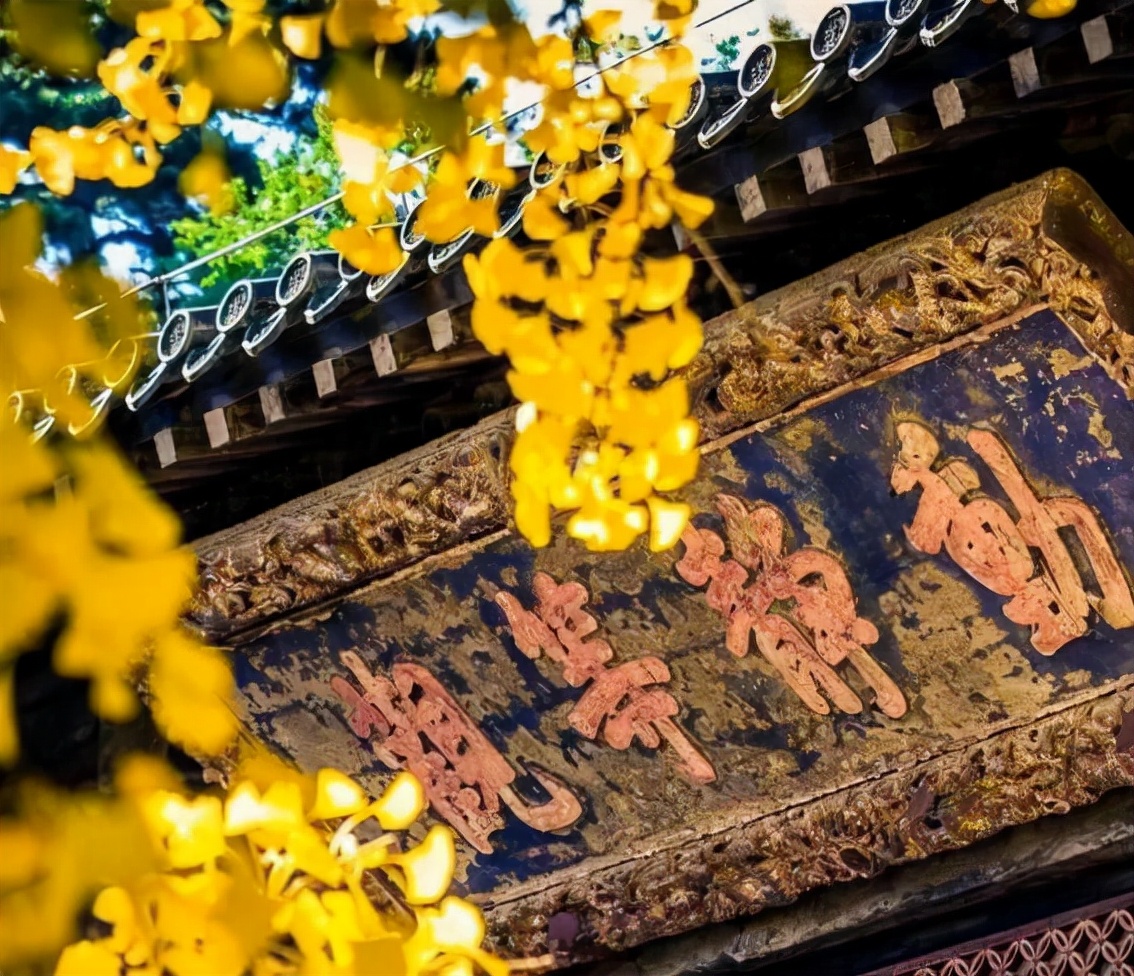 中国最宜居住的十大城市青岛,中国年轻人向往的十大城市青岛