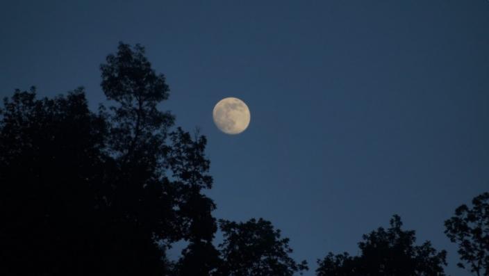 徐州土山发现的古墓,徐州黑头山古墓