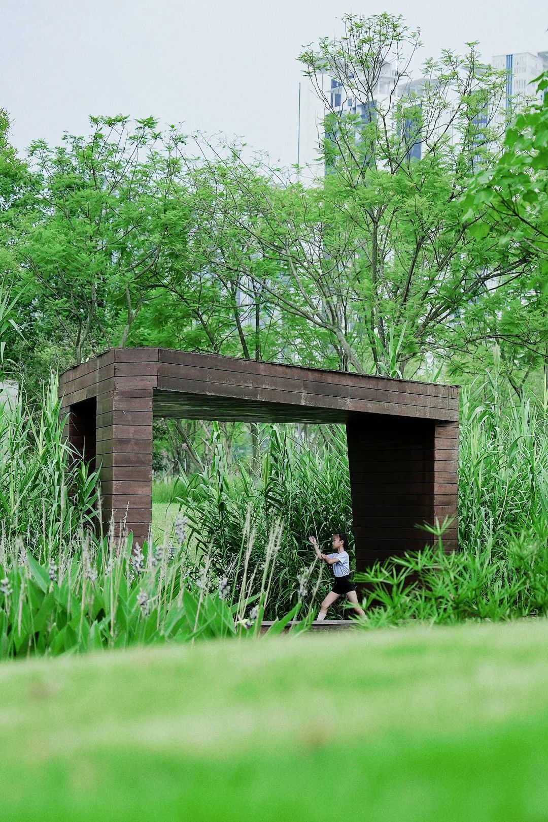 好玩的遛娃公园成都,成都南边公园免费景点