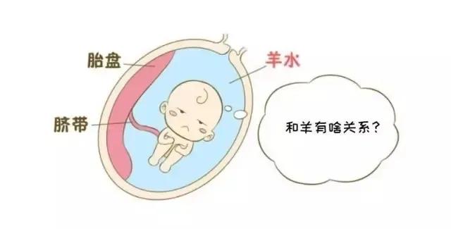 羊水为什么叫羊水它都有什么作用,孕期破水的科普