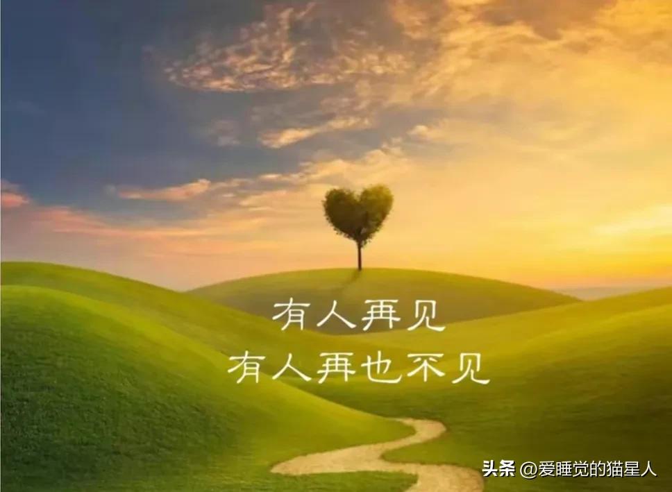 真正爱上一个人是从怕失去开始的,我不会爱上任何人因为我害怕失去