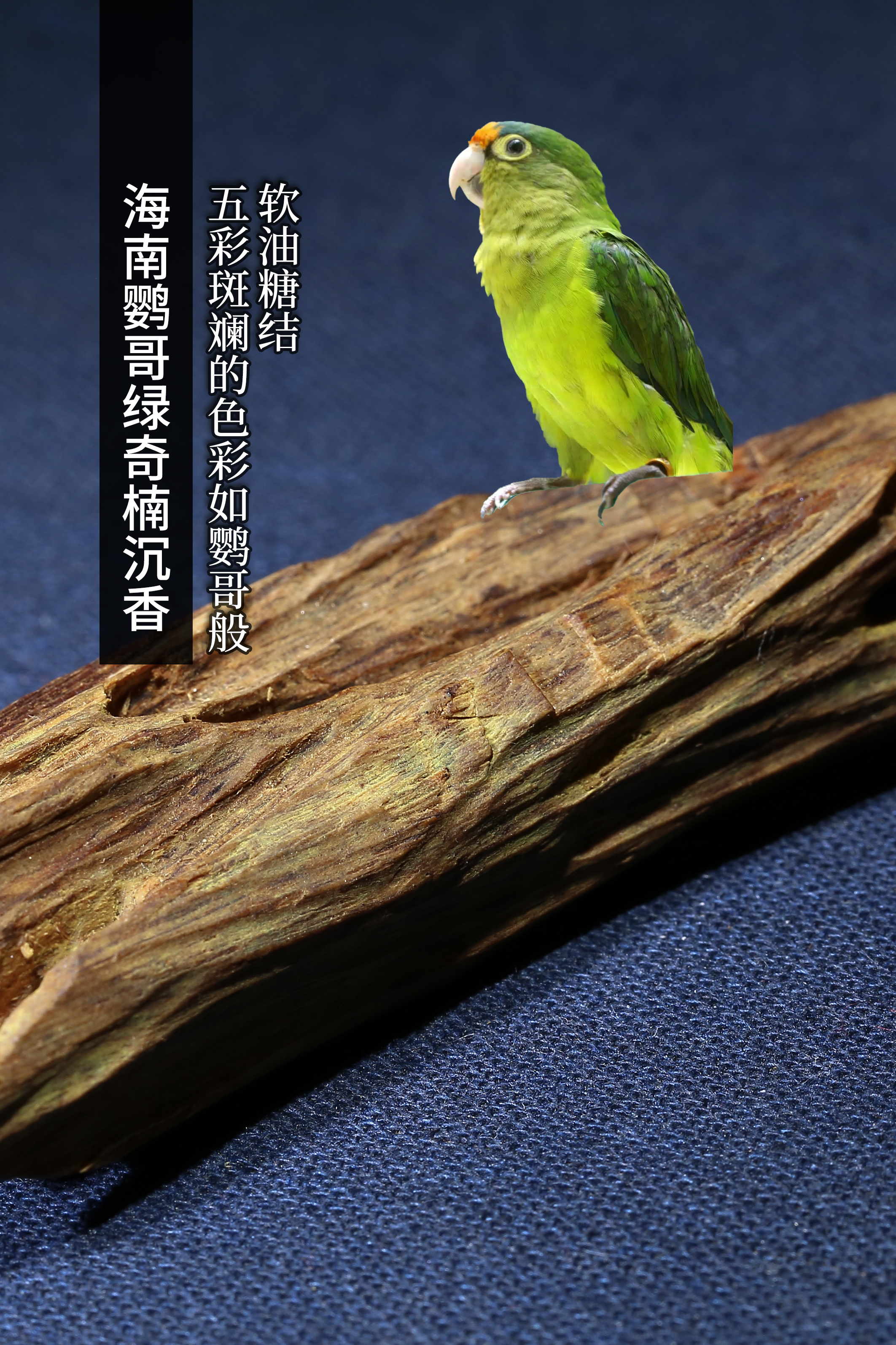 越南黑奇楠沉香微距,奇楠沉香的收藏方法