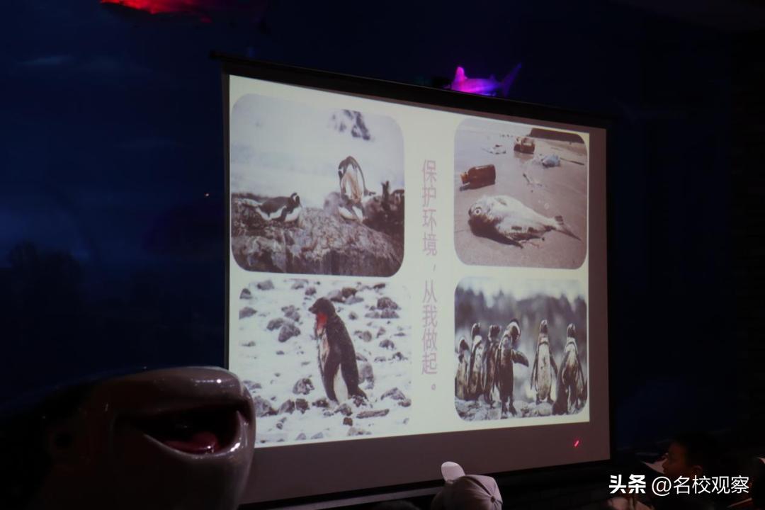 蔚蓝做苍穹，鱼儿变繁星！新川学子，走进浩海立方，探秘无限海洋