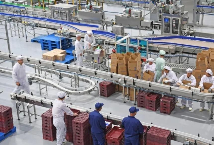 全国民营100强拼多多企业排名,2023上海企业100强榜单出炉