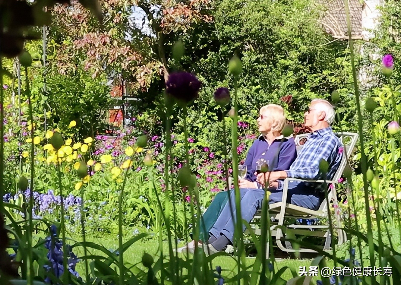 园艺疗法的主要对象,园艺治疗师前景