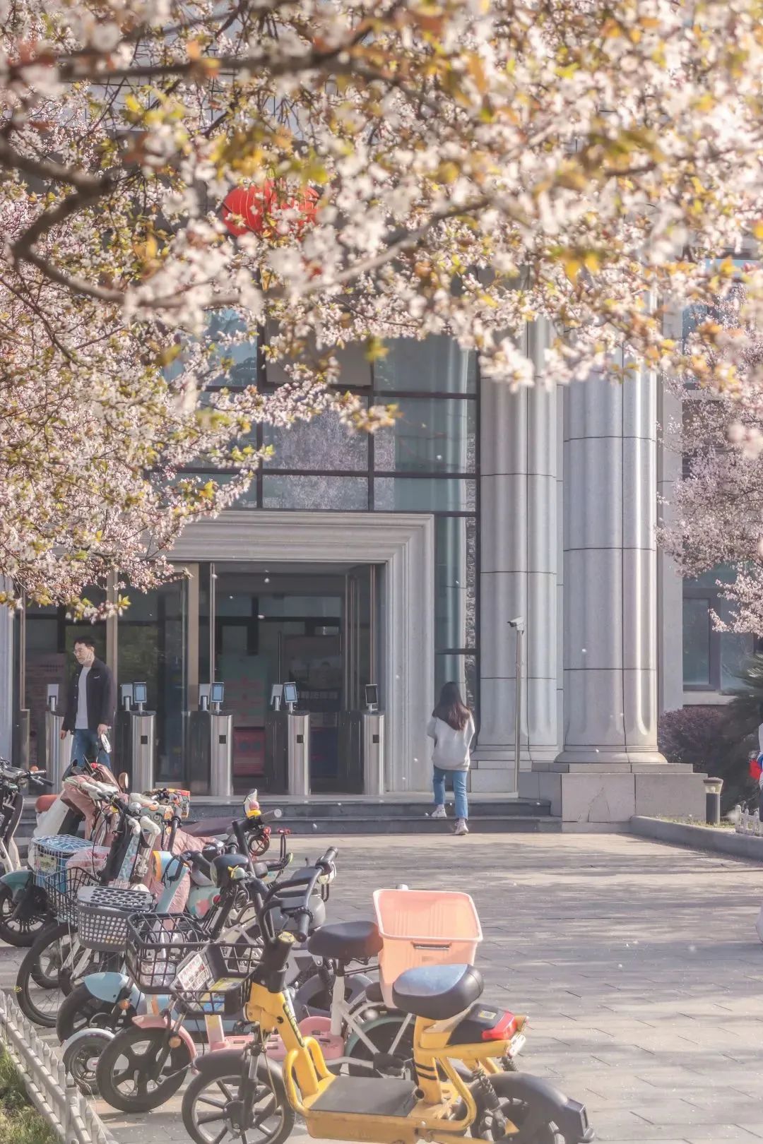 在成都读大学好就业吗,在成都读研究生是什么体验