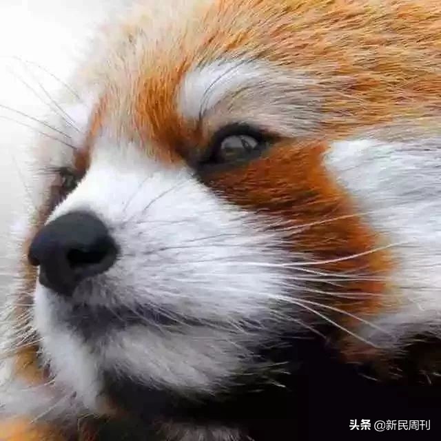 解忧|发现朋友出轨有妇之夫，怎么办？