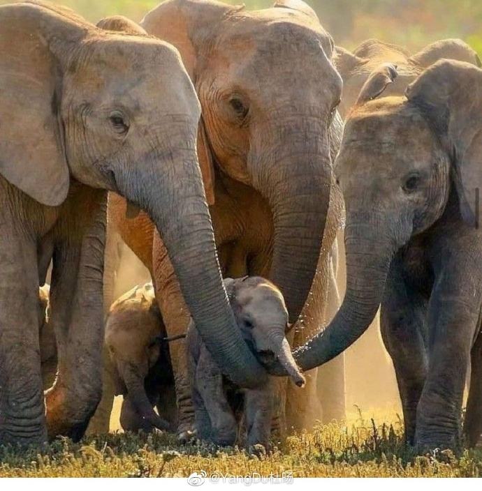 唯一被绞刑的人,唯一被凌迟处死的人