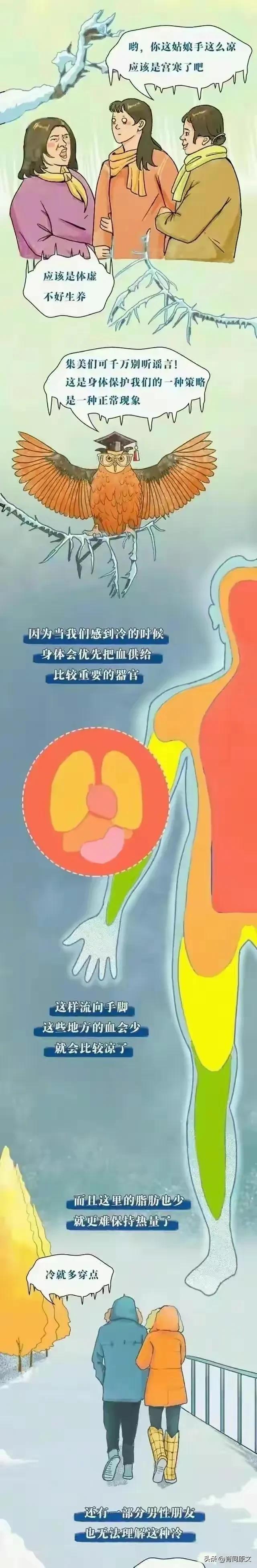 14岁女孩手脚冰凉是怎么回事,9岁女孩手脚出汗冰凉是什么原因