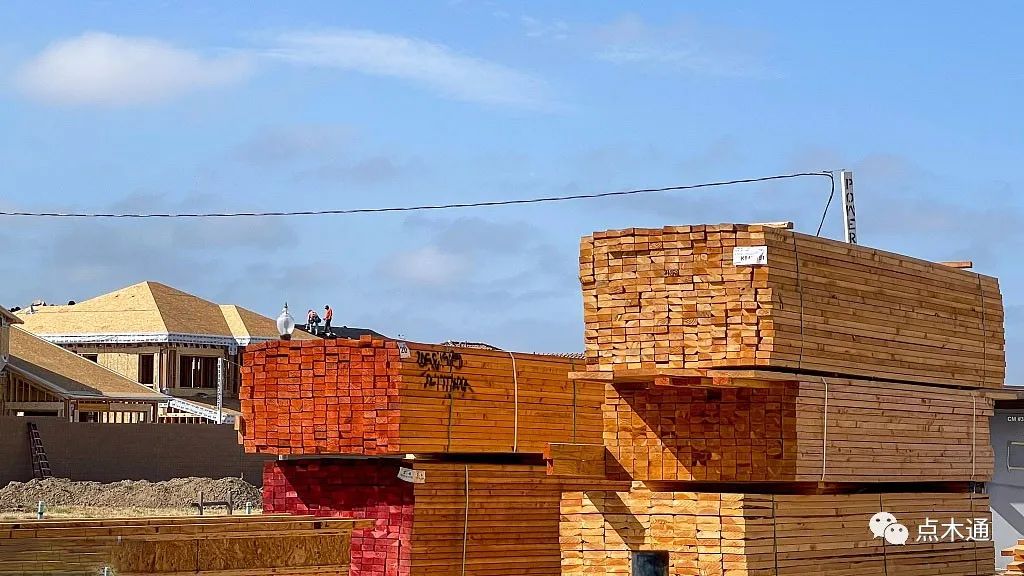 木材价格行情最新报价网站,木材价格到最近这几年的最低价了