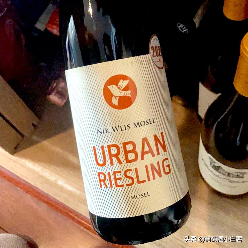 葡萄酒和红酒哪个好喝,红酒知识大全葡萄酒基本知识普及