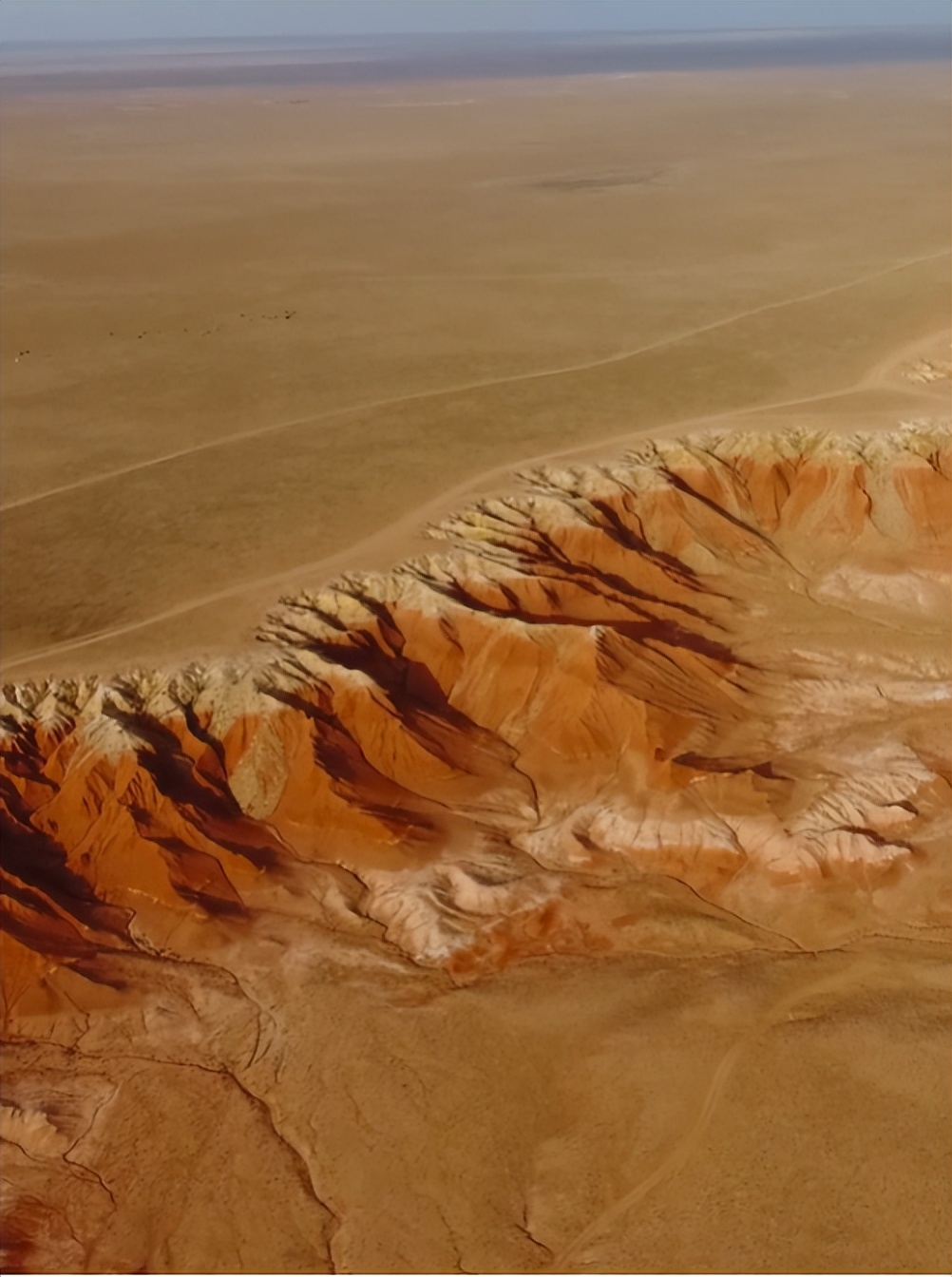 向北向北！|“美”在内蒙古