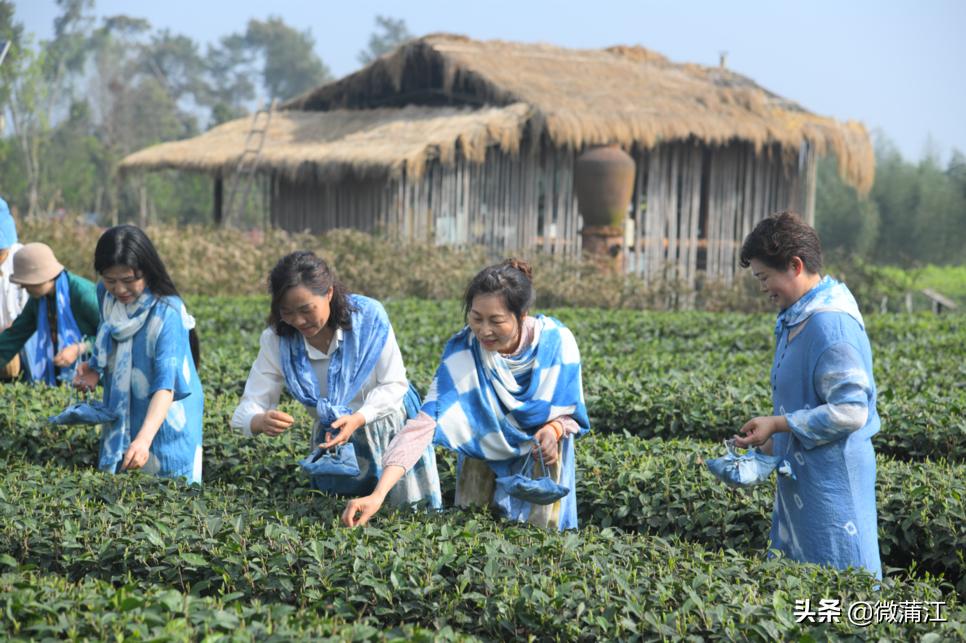 【新蒲江人】成都蒲江县乡村规划师邓小玲:扎根基层10年做乡村和规划之间的“桥梁”
