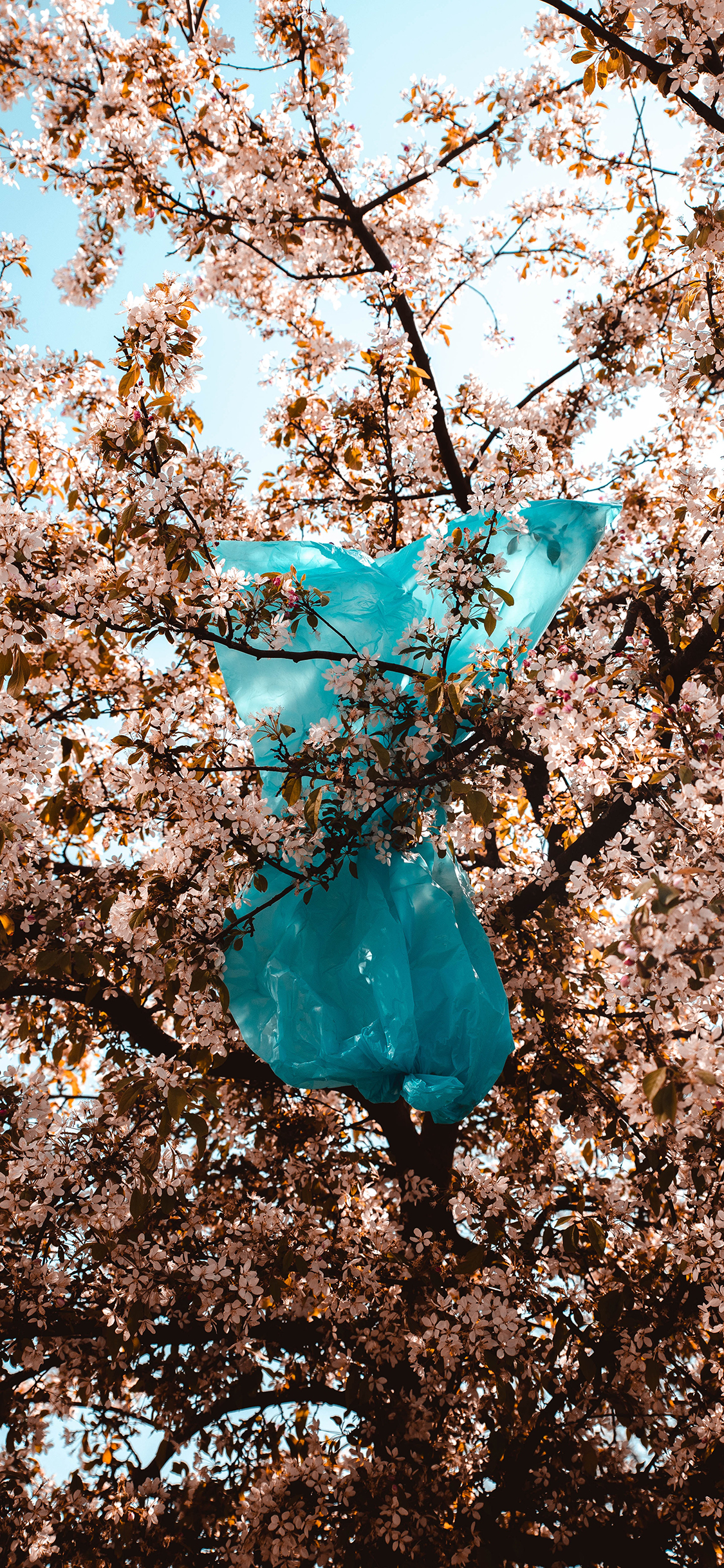 2023年手机壁纸,2023年最新款超清手机壁纸