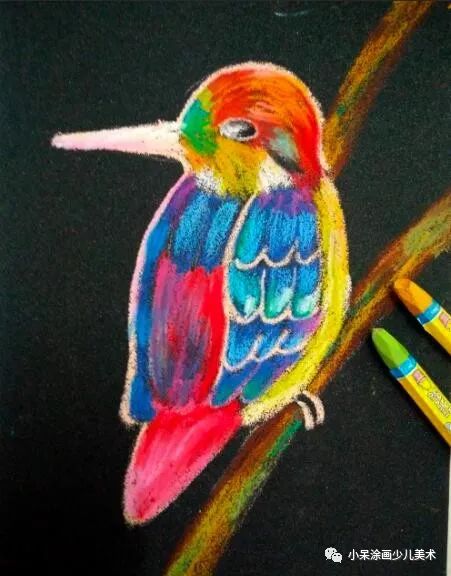 翠鸟生活环境,翠鸟育雏全集完整版