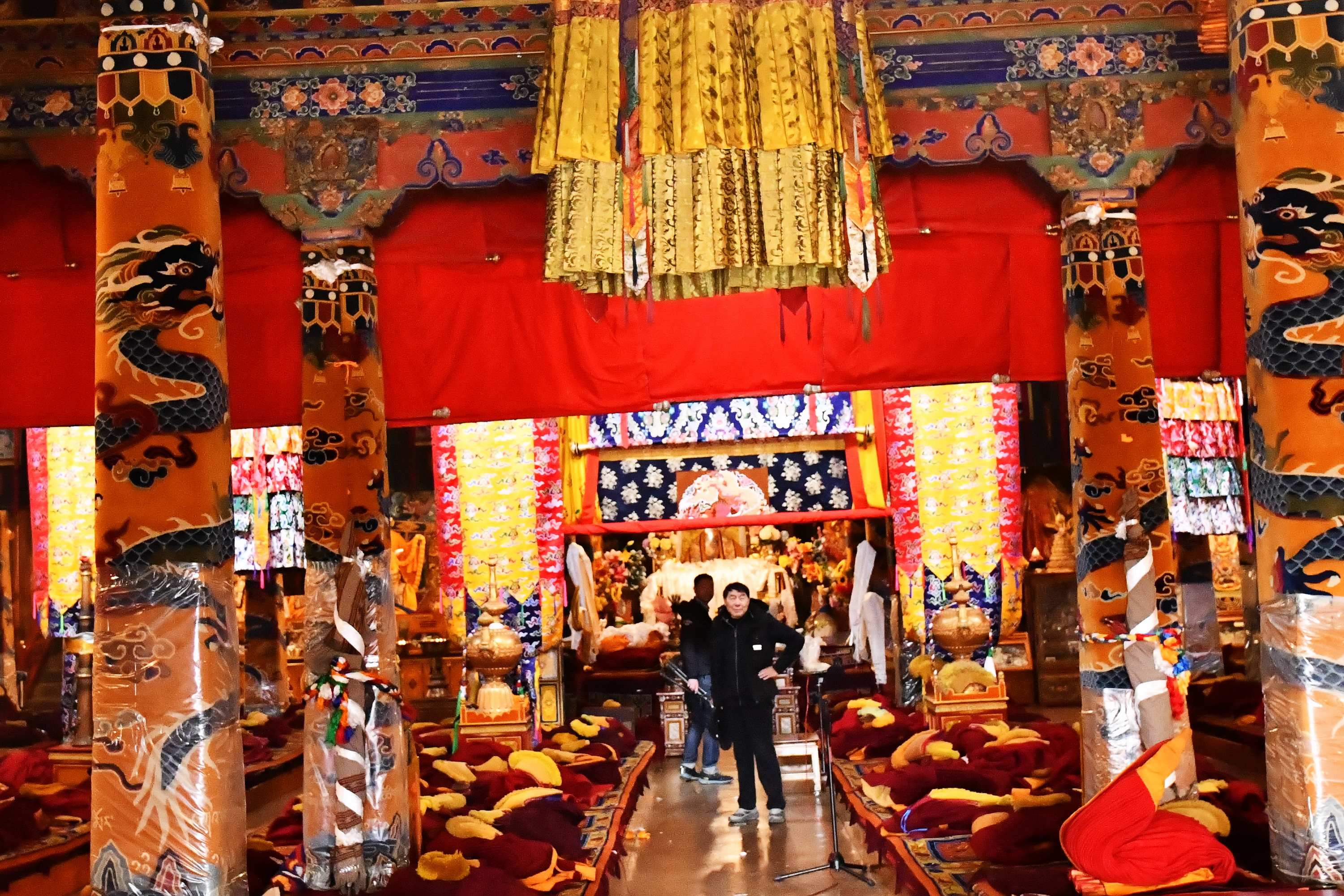 我的林芝一日游攻略,林芝看桃花西藏之旅