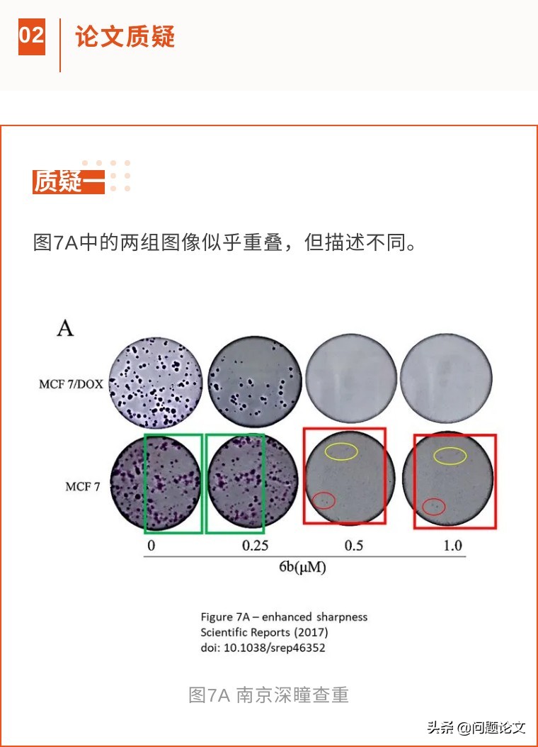 中国药科大学副校长,中国药科大学论文质疑