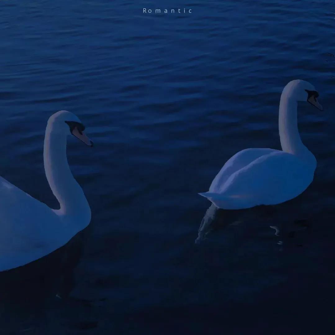 微信朋友圈背景图高清,最新微信素材大全