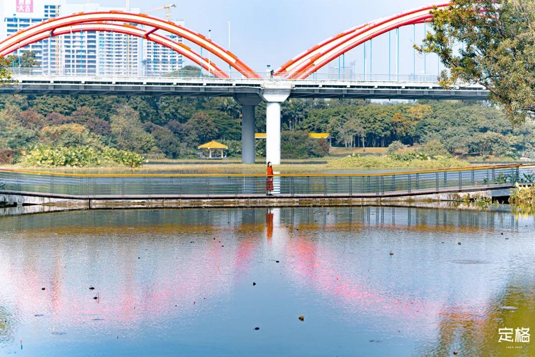 娲箹鍏洯娣卞湷,娲箹鍏洯鑽疯姳