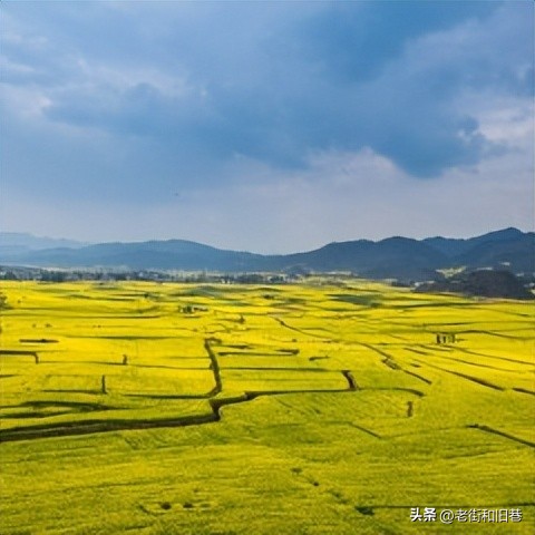 为什么说四季都适合去云南玩,去云南哪个季节去最好玩