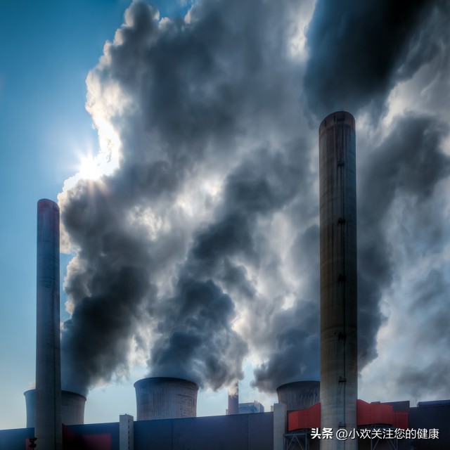 怎么长高最快小学生,怎么长高18岁男生