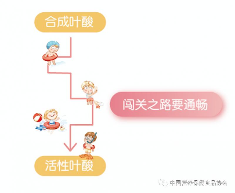 叶酸如何选择适合自己的,叶酸怎么选择适合自己的