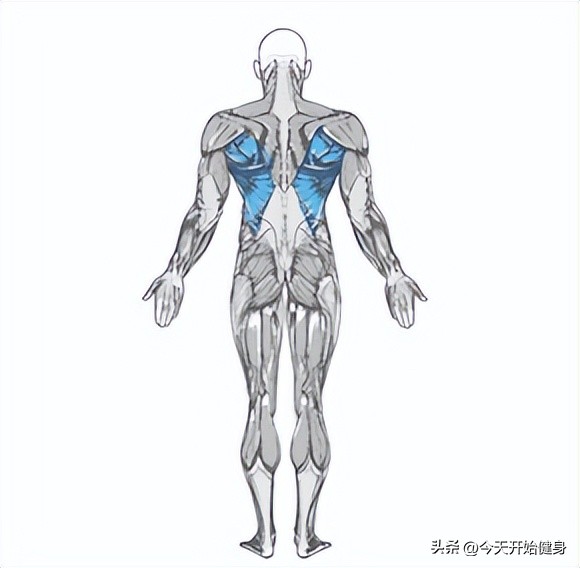 巨石强森怎么练得如此强壮,巨石强森背部肌群训练视频