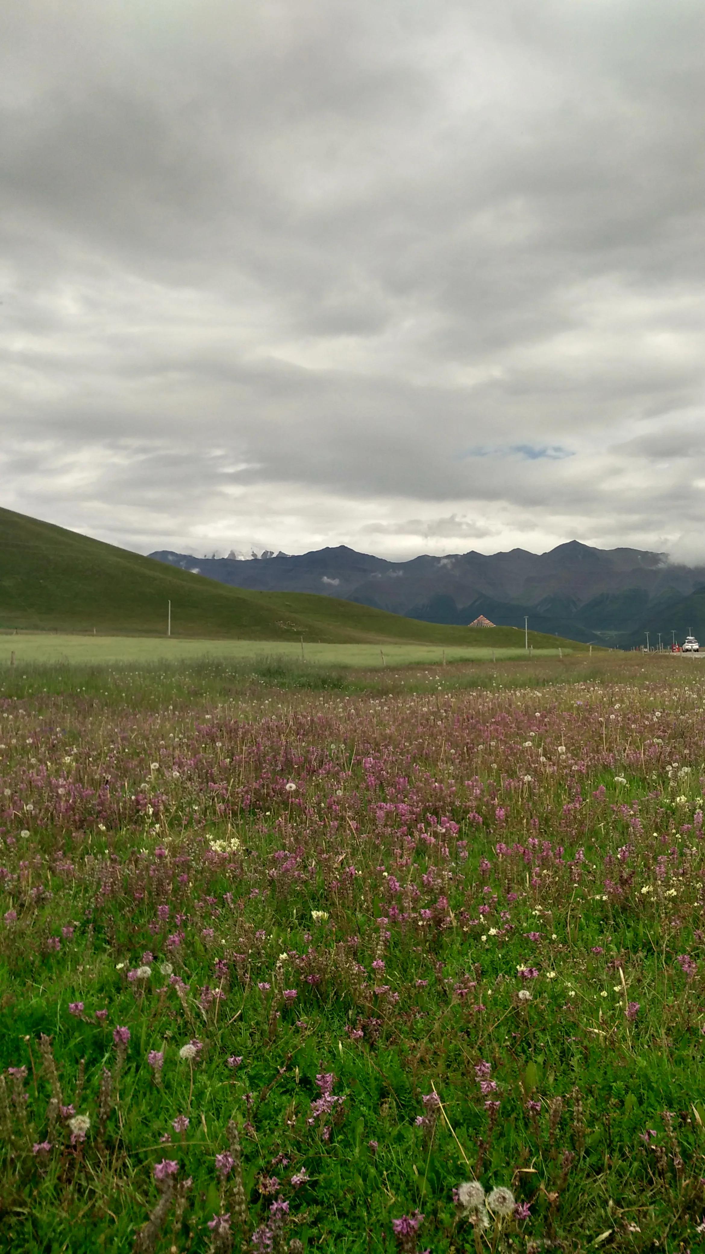 一生必须去一次西北大环线,一生要去一次甘肃