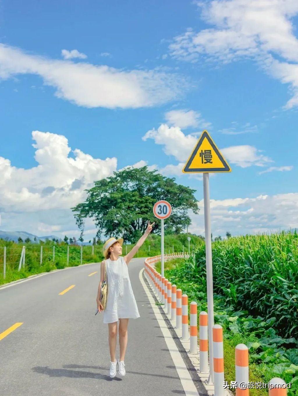 三亚免费适合自驾的环海公路,三亚最美环海公路推荐