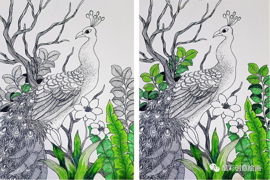 孔雀,孔雀王漫画全集