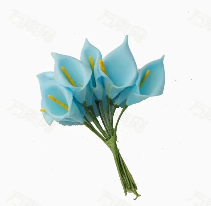 马蹄莲花开是什么样子,马蹄莲花开多少天